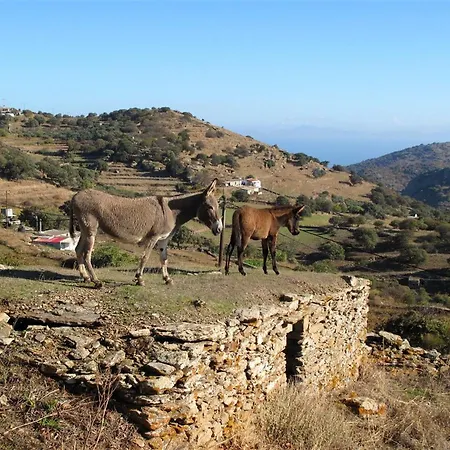 Charming House In Kastanies With Fireplace And View * Ioulis